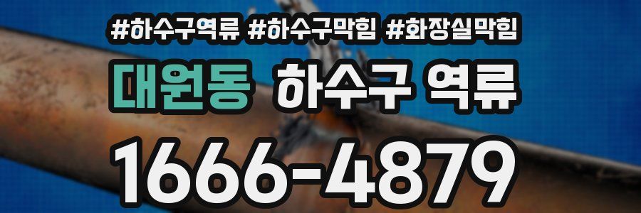 대원동 하수구 역류