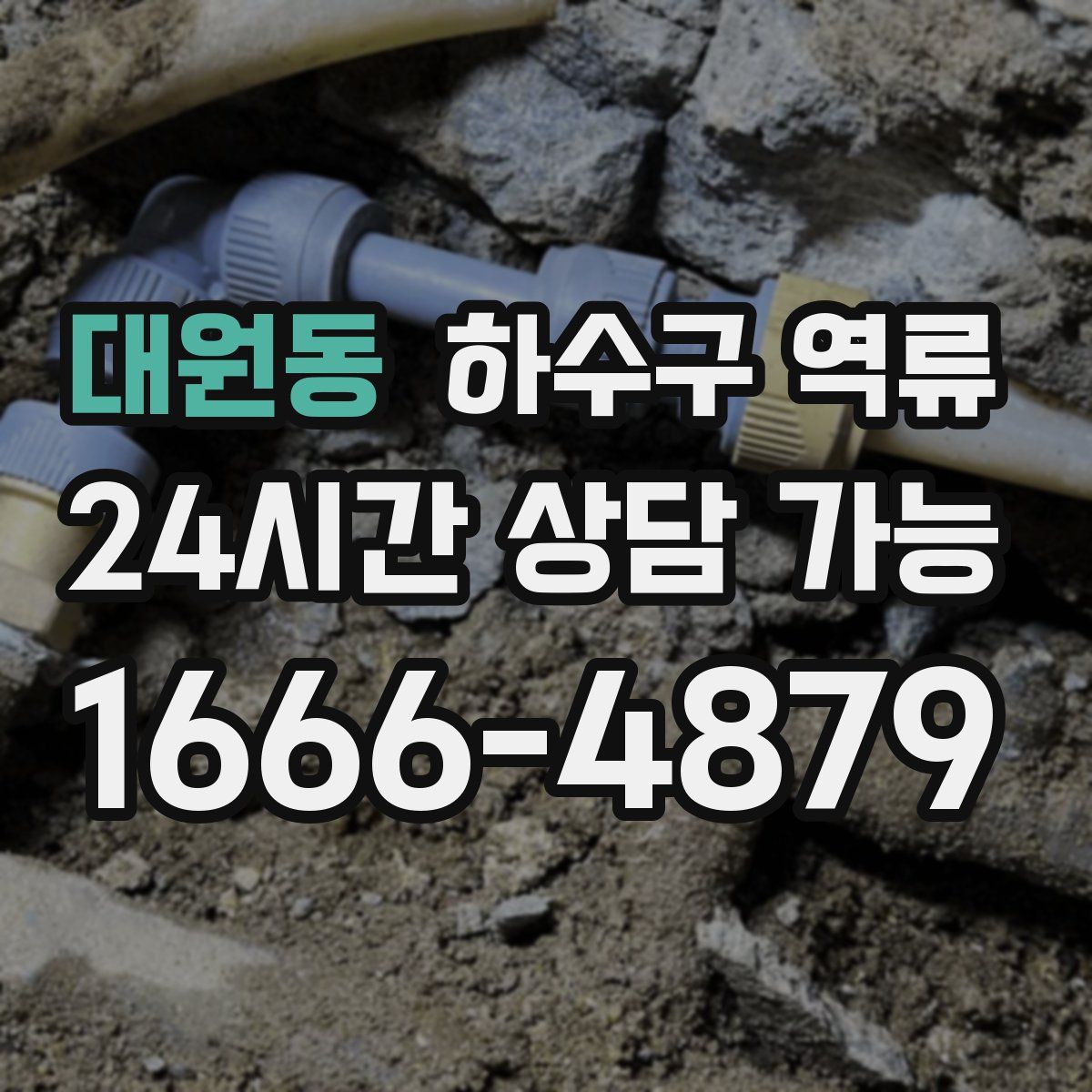 대원동 하수구 역류