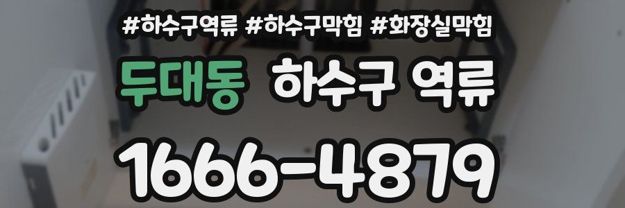 두대동 하수구 역류