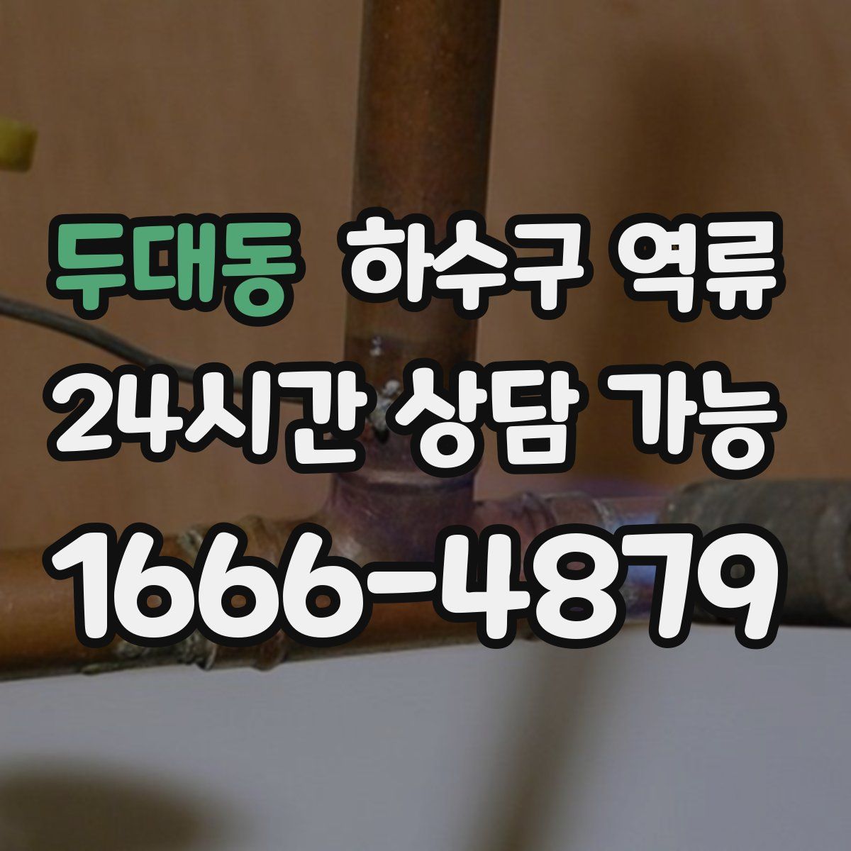 두대동 하수구 역류