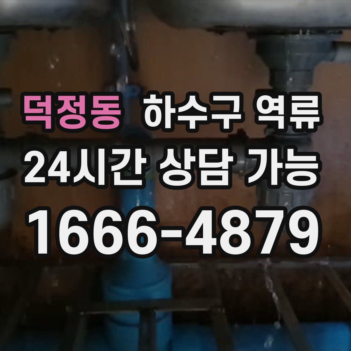 덕정동 하수구 역류