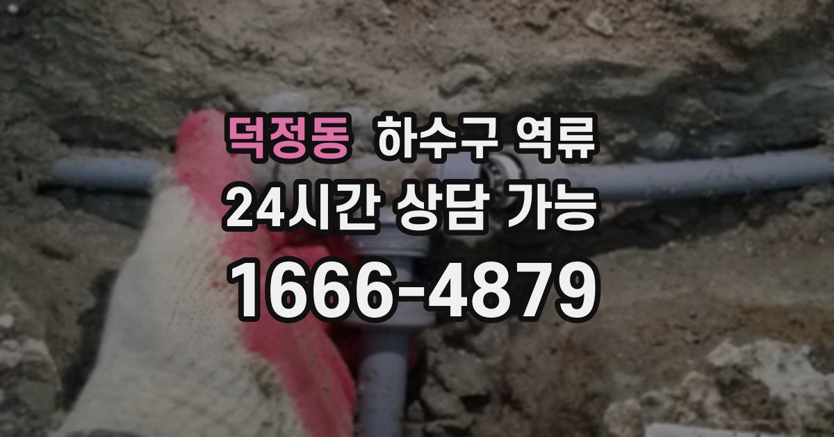 덕정동 하수구 역류