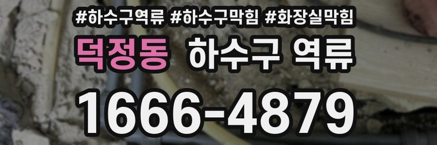 덕정동 하수구 역류