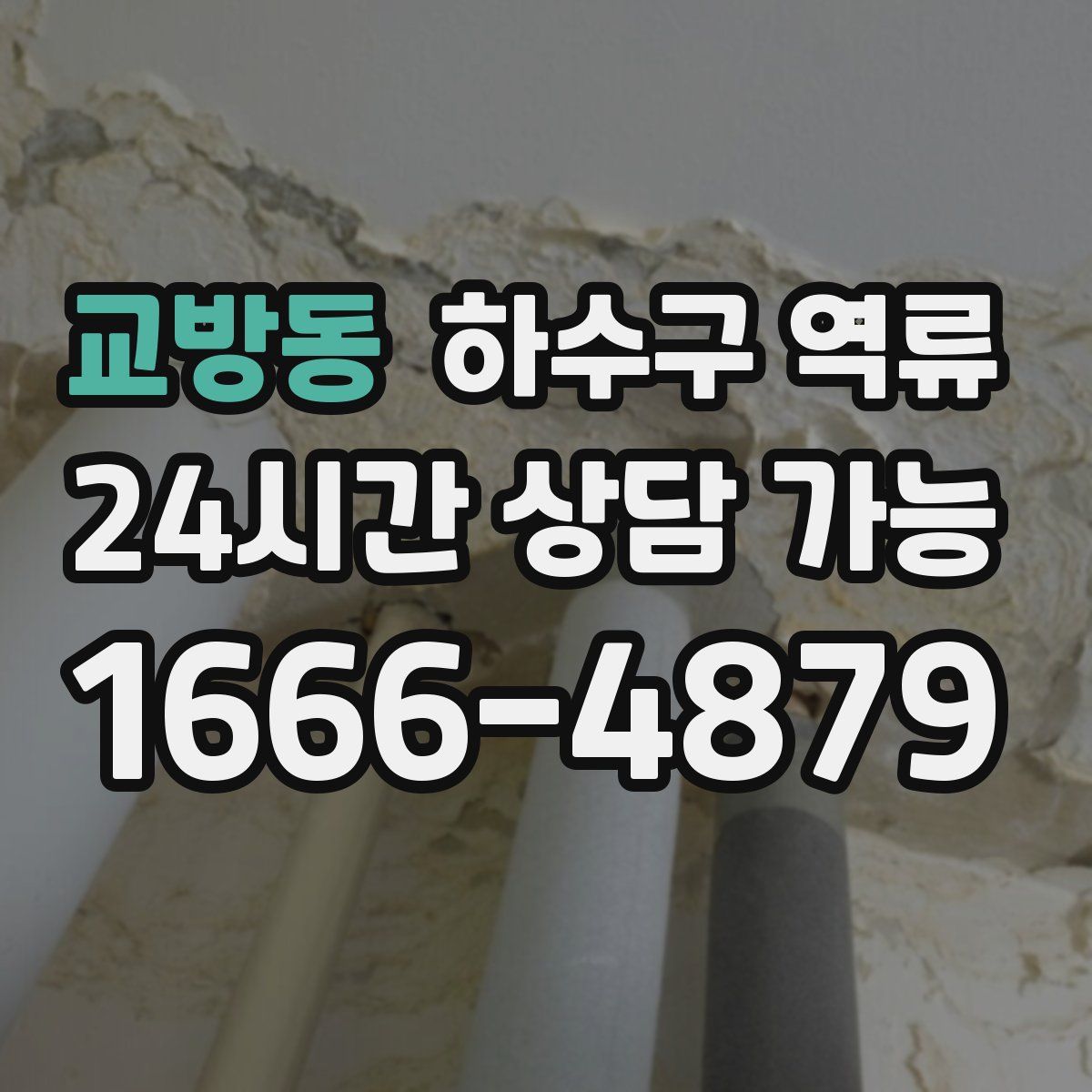 교방동 하수구 역류