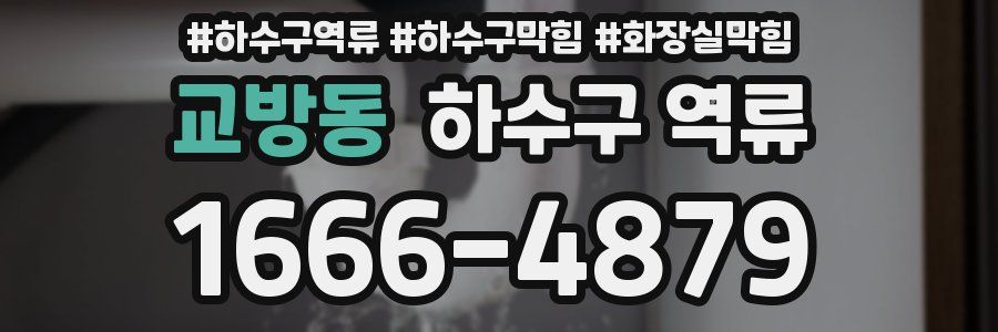 교방동 하수구 역류