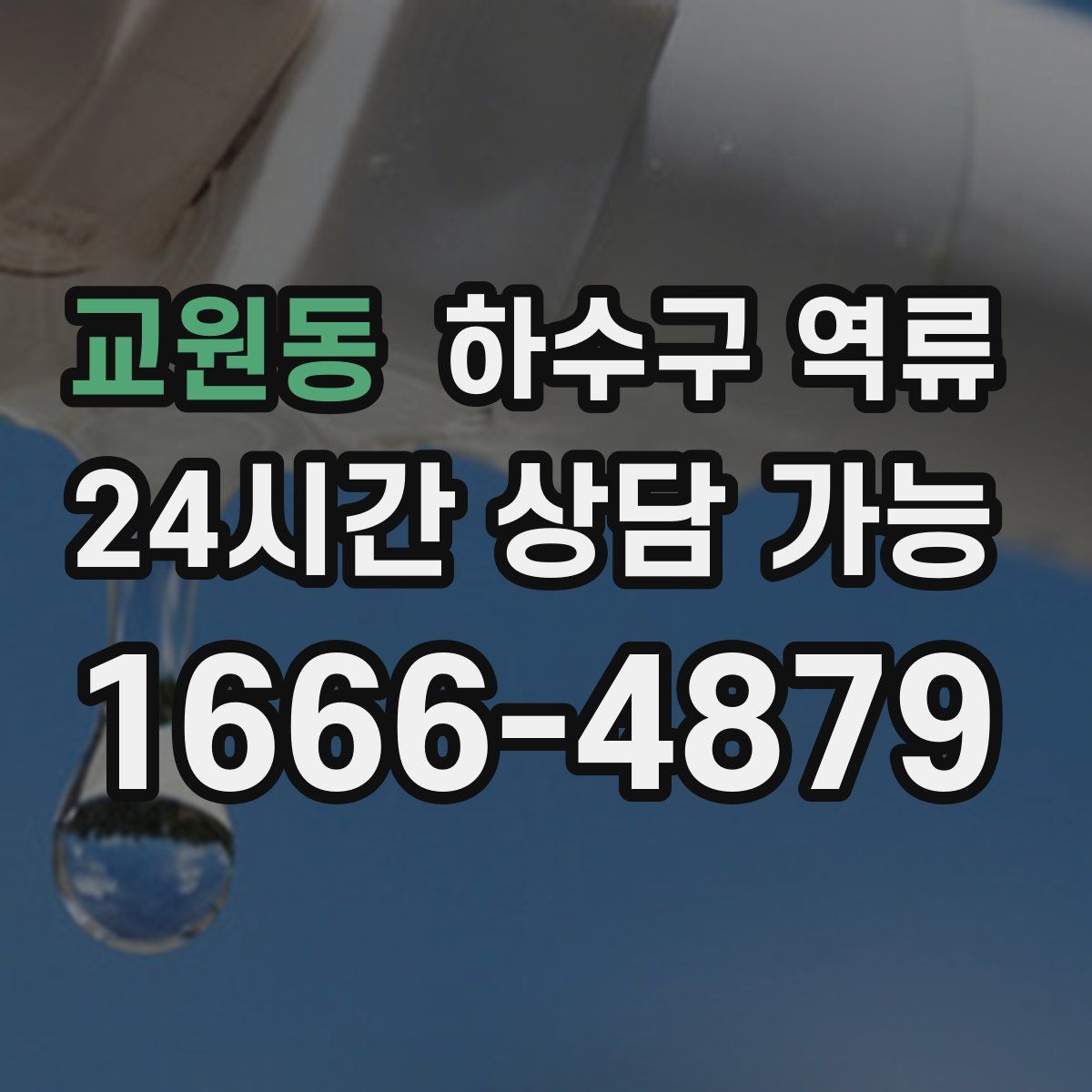 교원동 하수구 역류