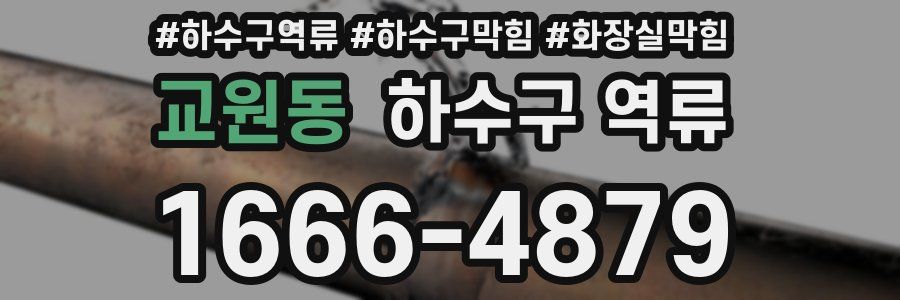 교원동 하수구 역류