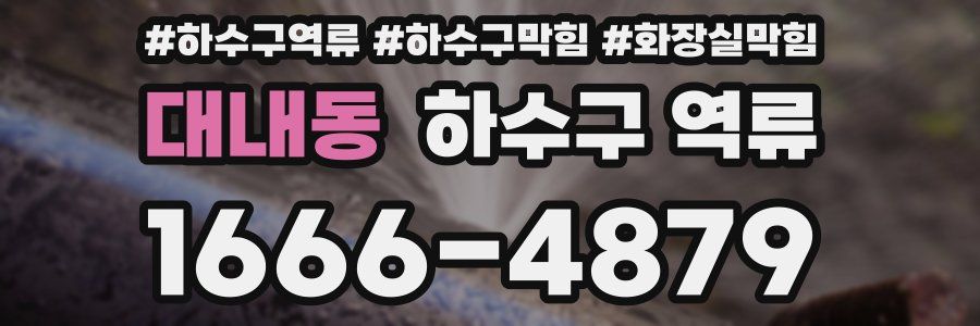 대내동 하수구 역류