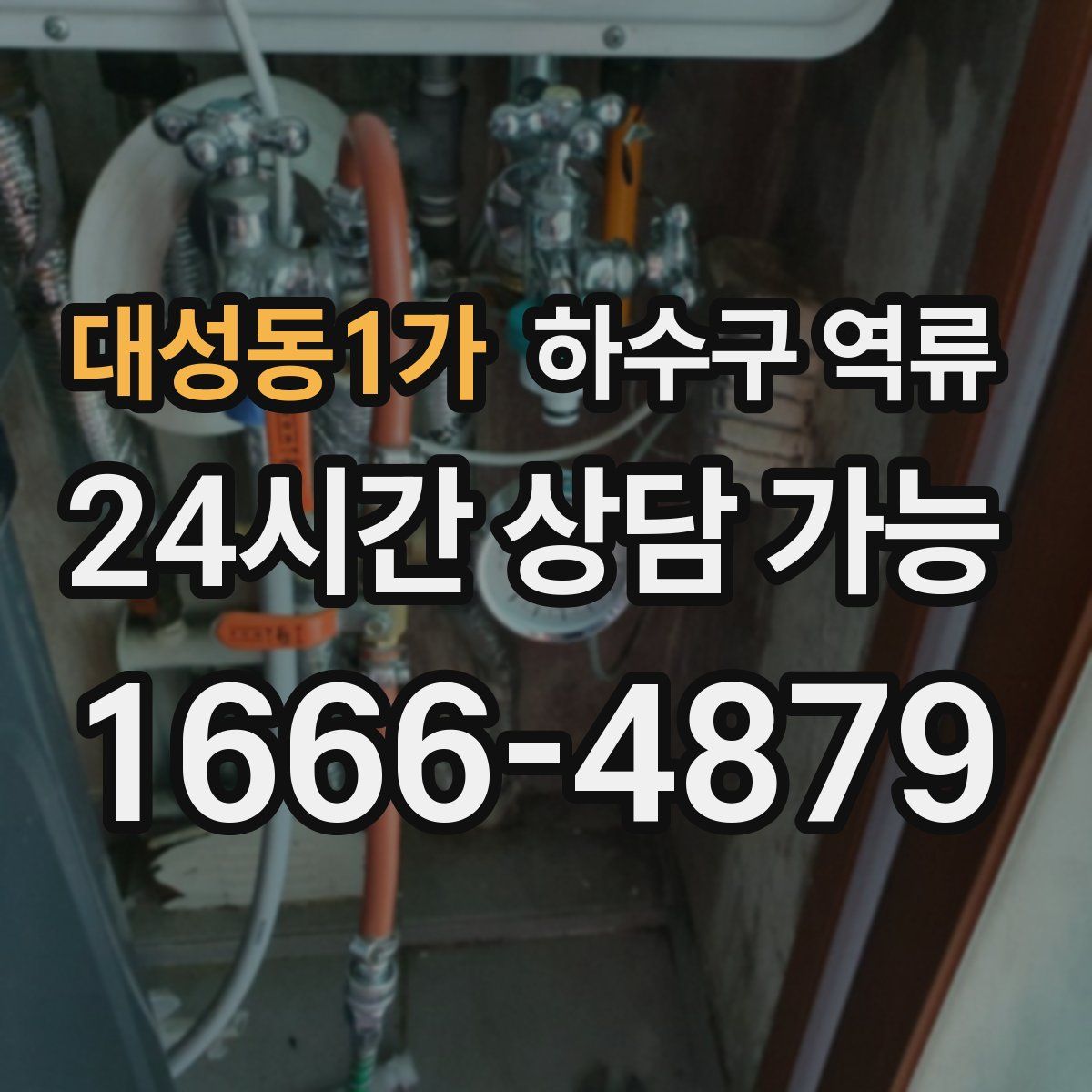 대성동1가 하수구 역류