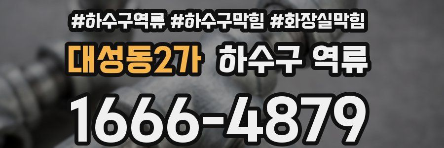 대성동2가 하수구 역류