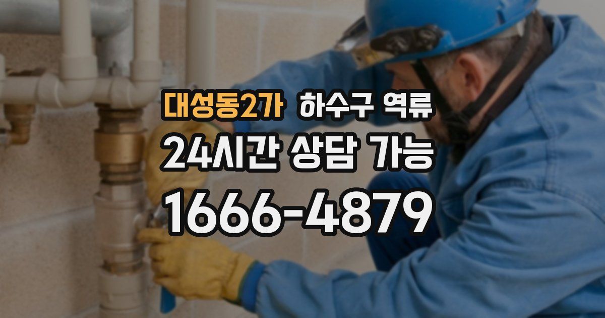 대성동2가 하수구 역류