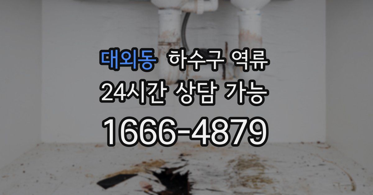 대외동 하수구 역류