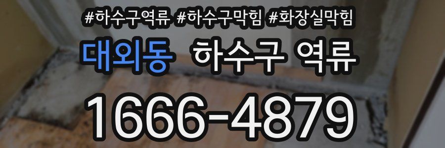 대외동 하수구 역류