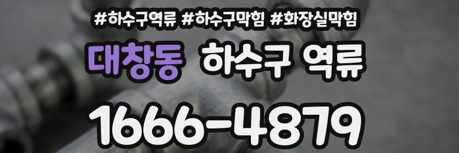 대창동 하수구 역류