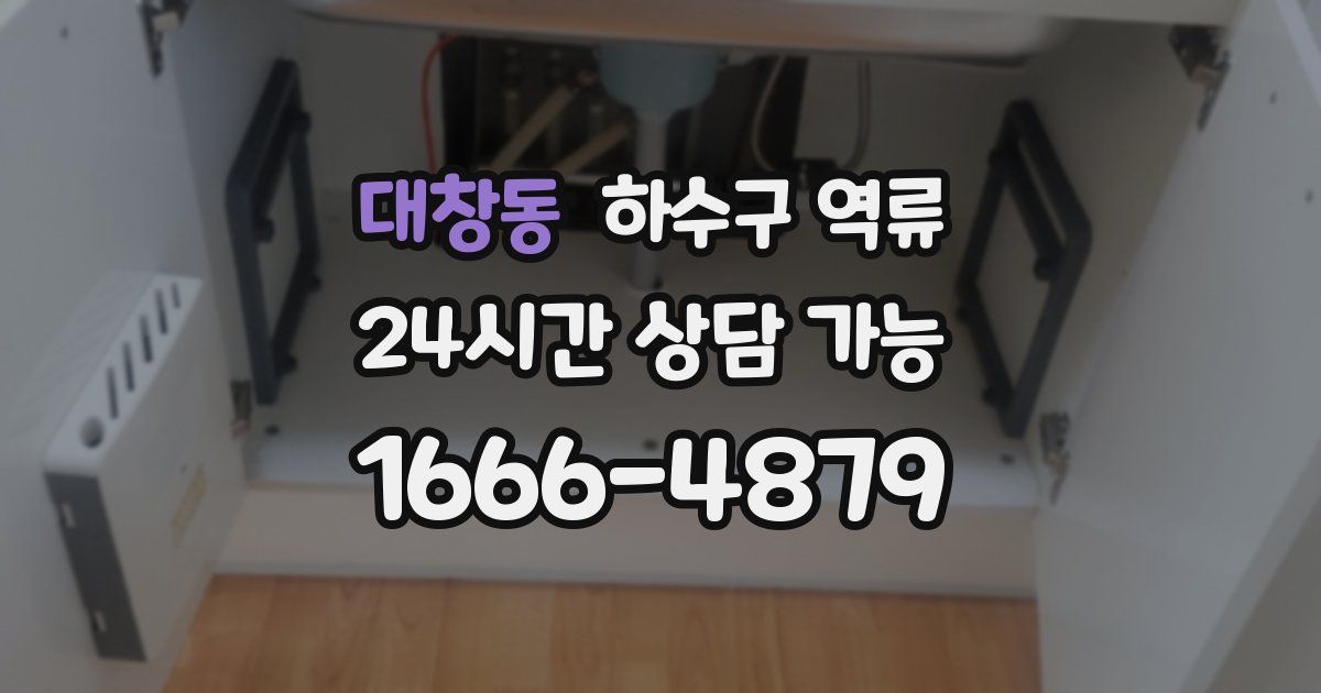 대창동 하수구 역류