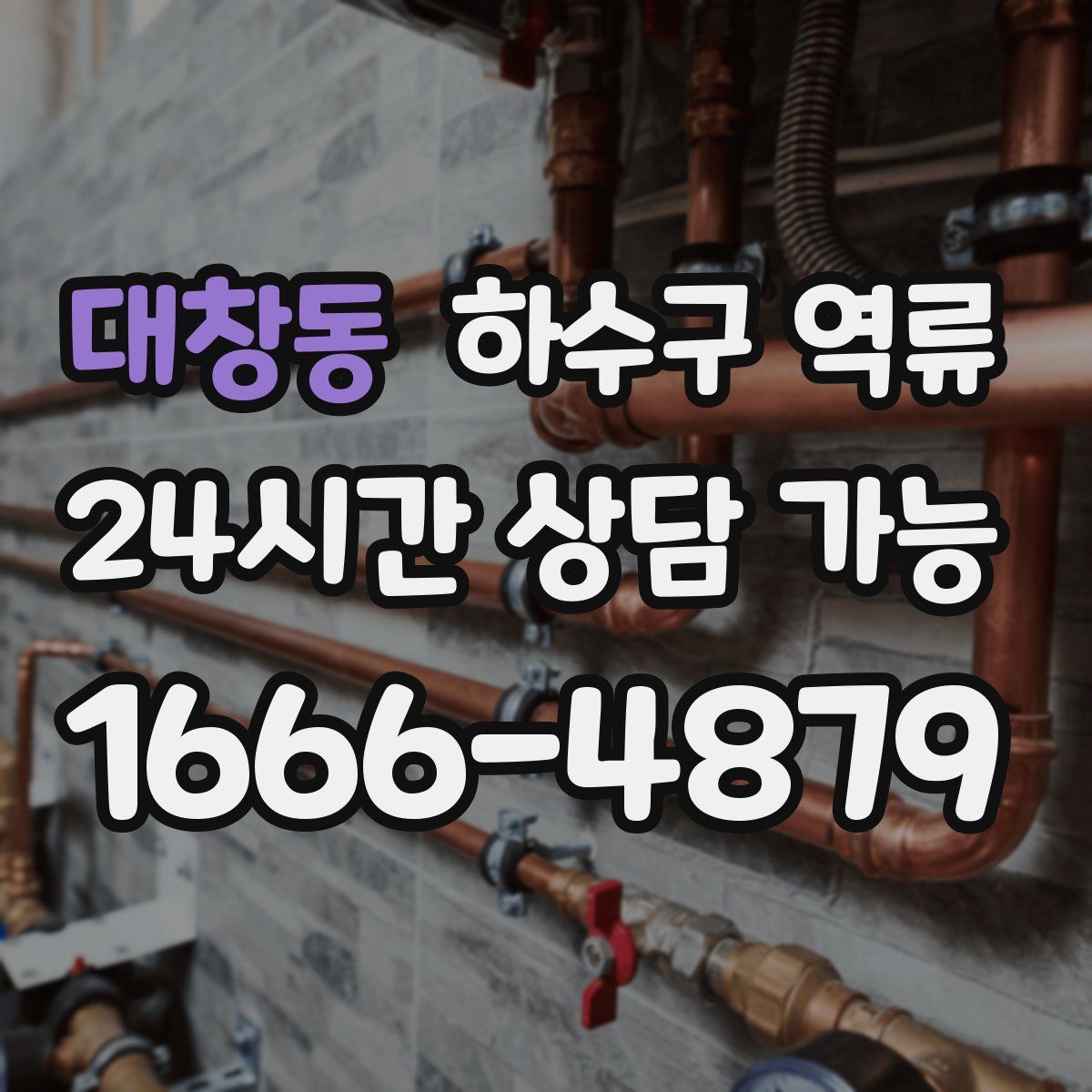 대창동 하수구 역류