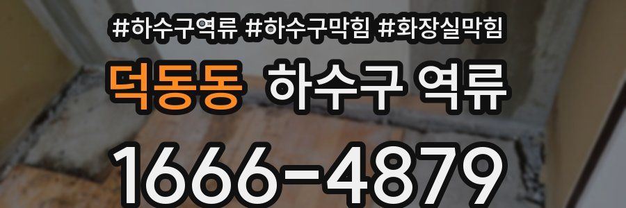 덕동동 하수구 역류