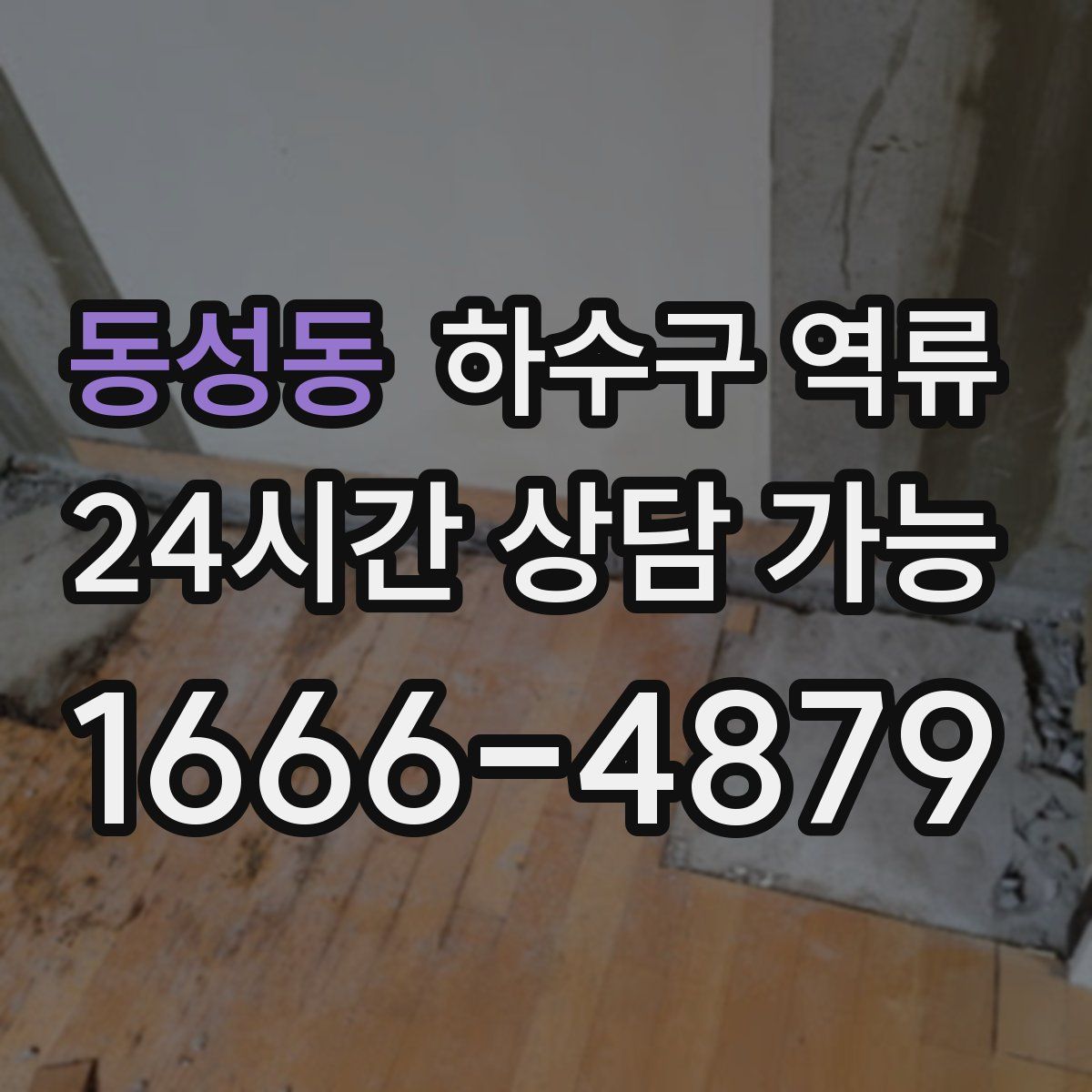 동성동 하수구 역류