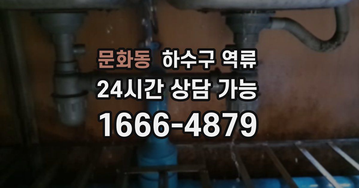 문화동 하수구 역류