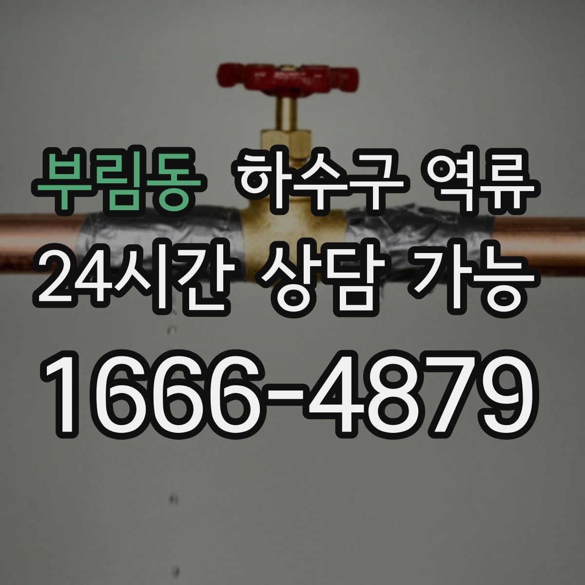 부림동 하수구 역류