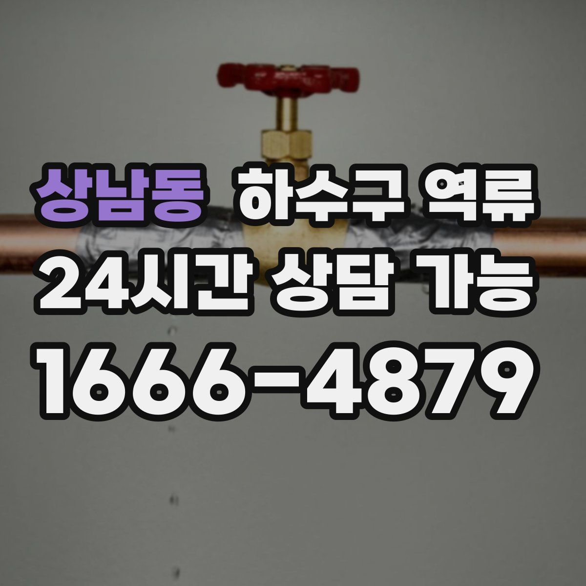 상남동 하수구 역류