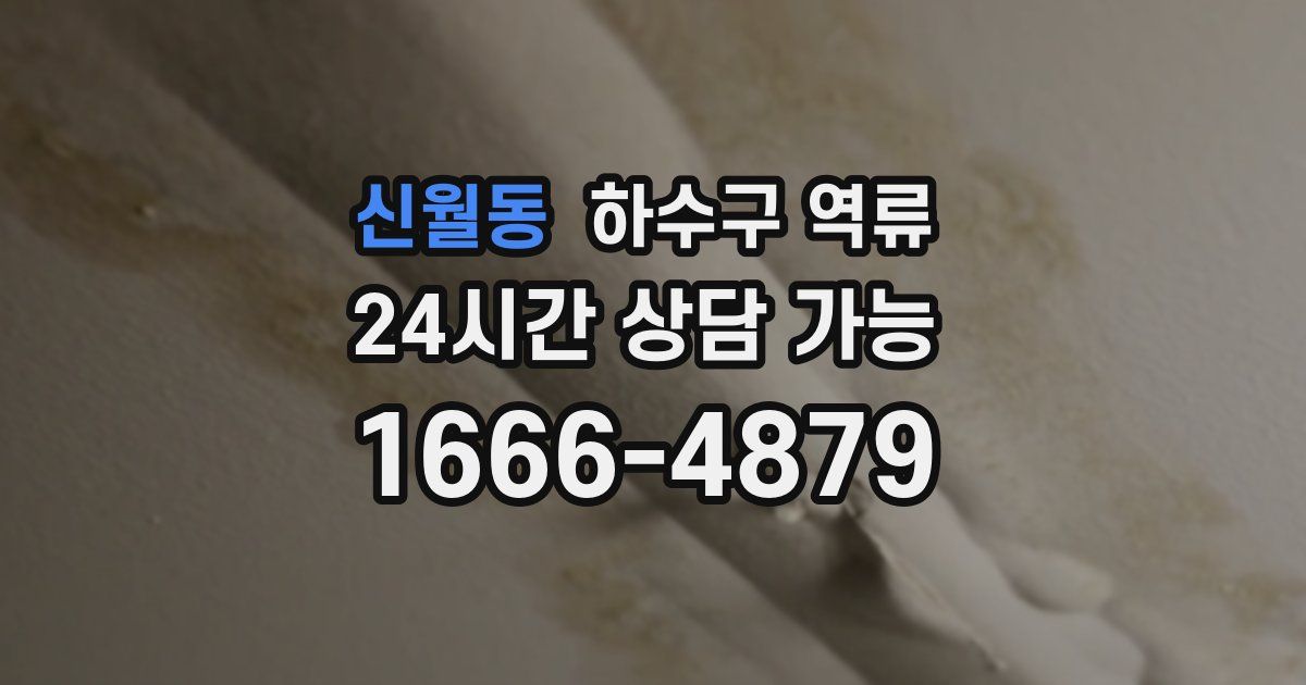 신월동 하수구 역류