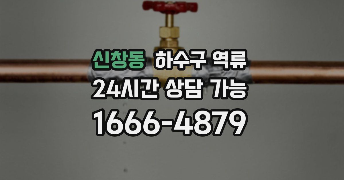 신창동 하수구 역류