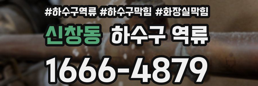 신창동 하수구 역류