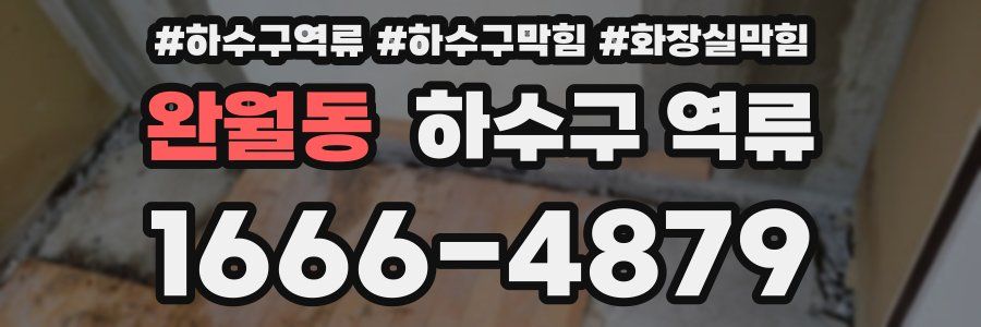 완월동 하수구 역류