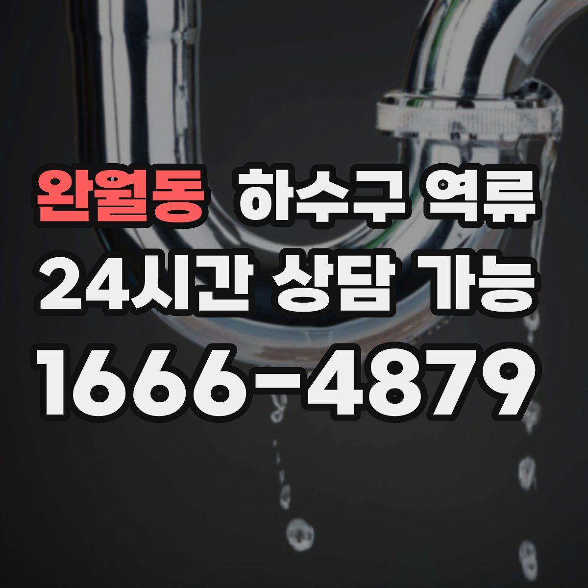 완월동 하수구 역류