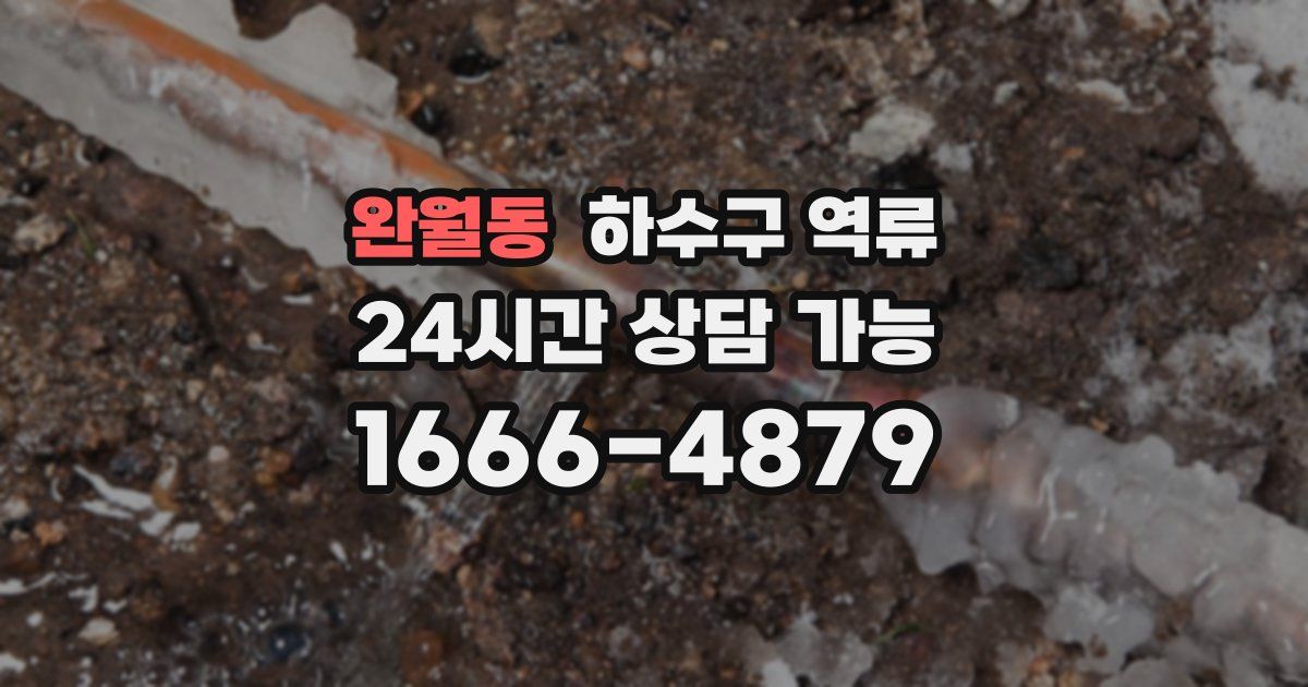 완월동 하수구 역류