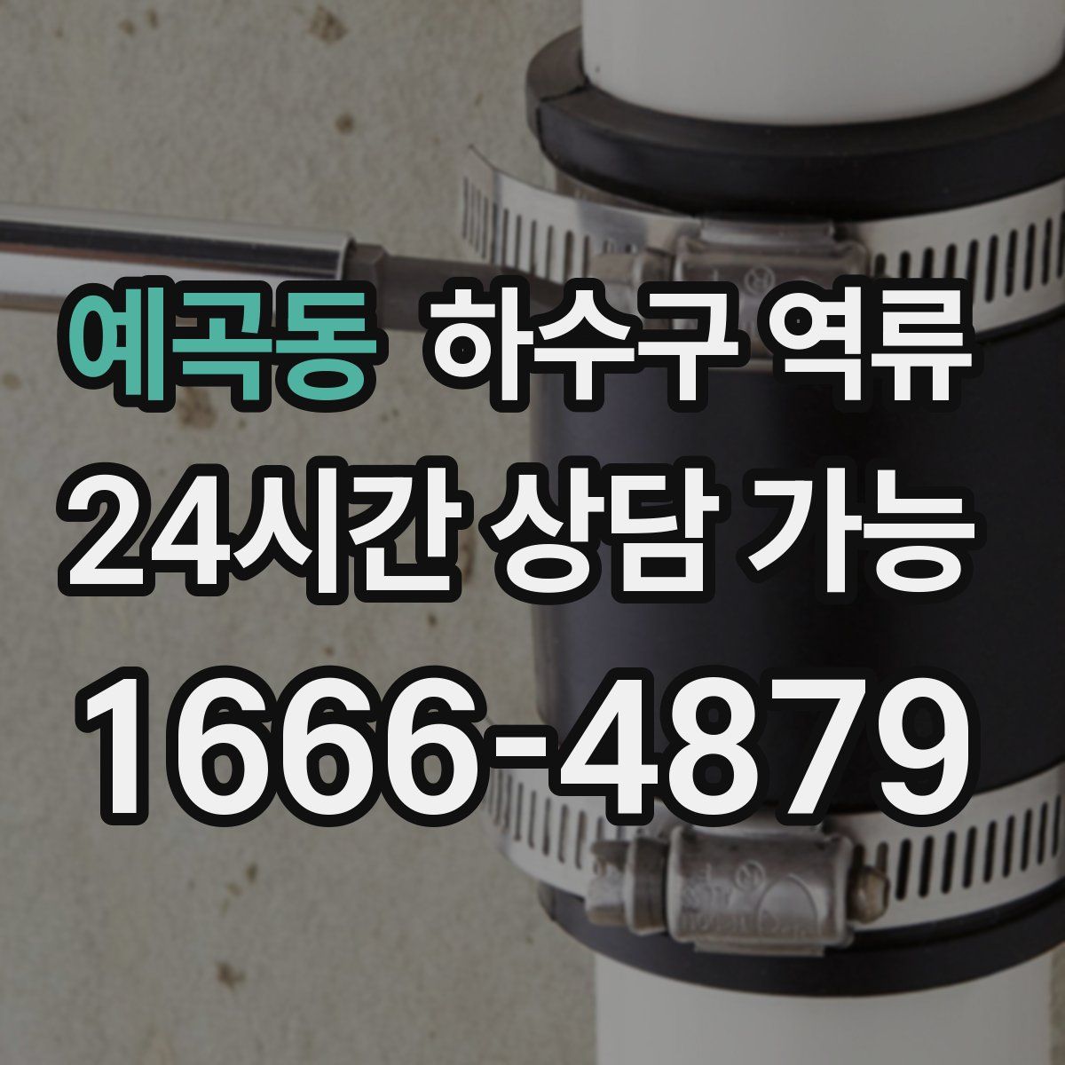 예곡동 하수구 역류