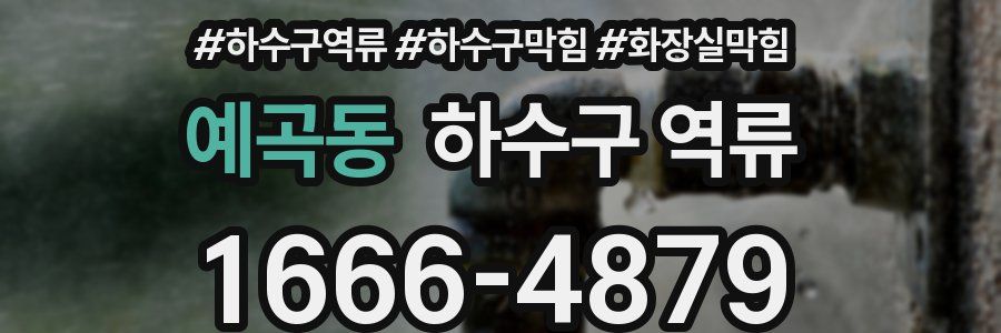 예곡동 하수구 역류