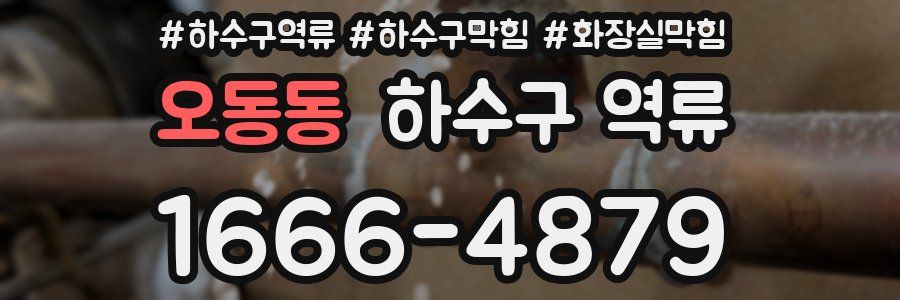 오동동 하수구 역류