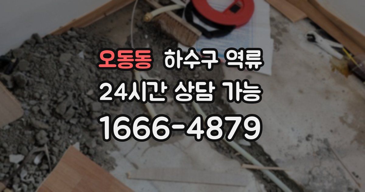 오동동 하수구 역류