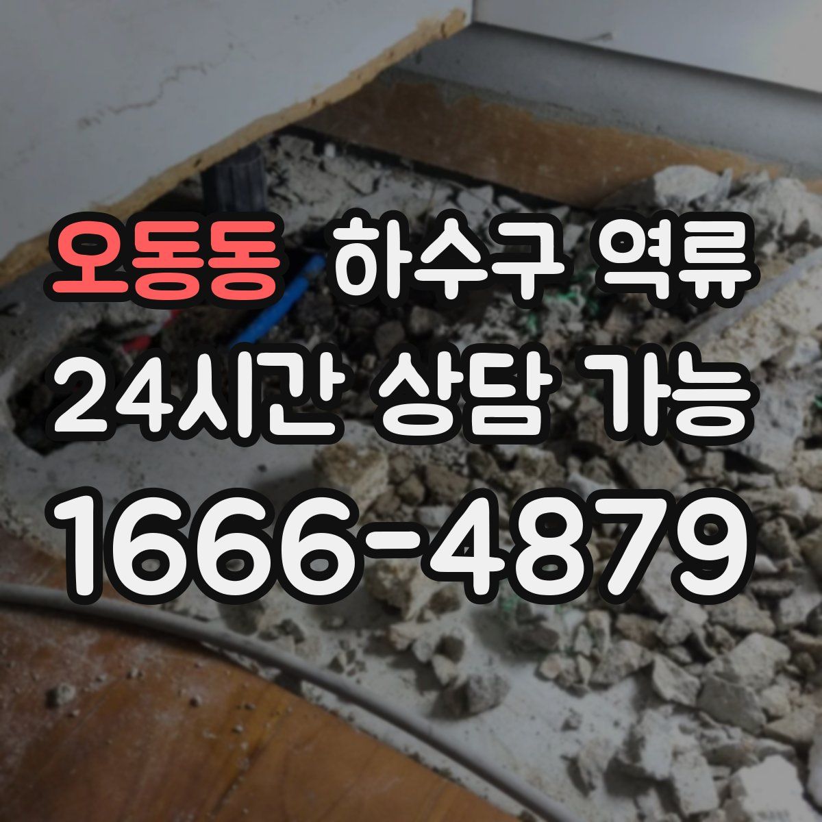 오동동 하수구 역류