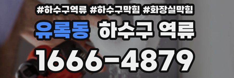 유록동 하수구 역류