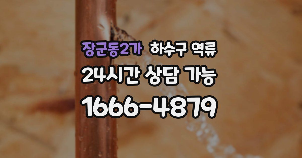 장군동2가 하수구 역류