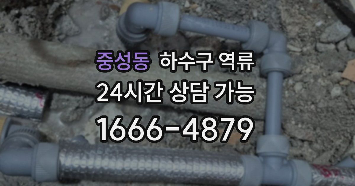 중성동 하수구 역류