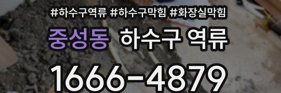 중성동 하수구 역류