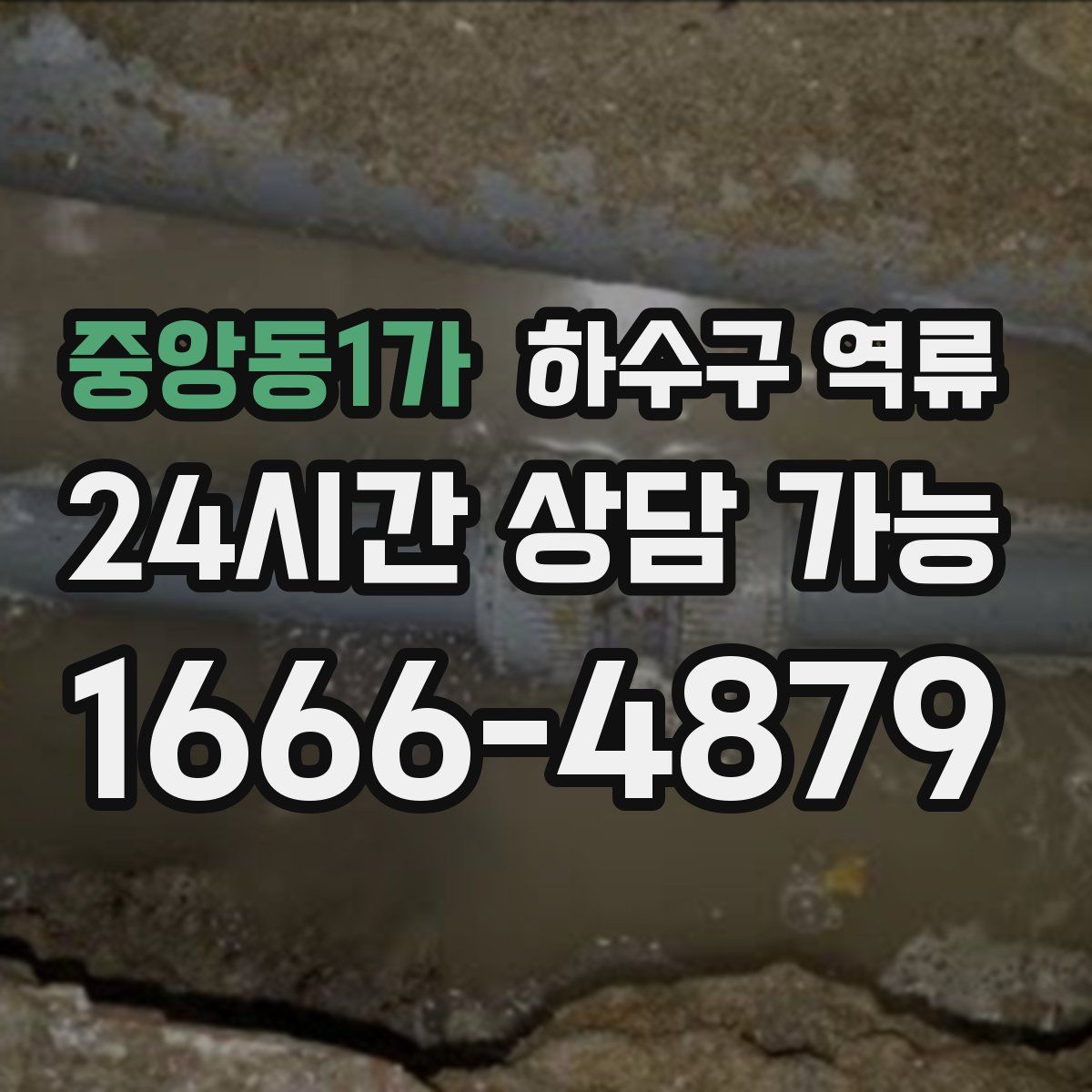 중앙동1가 하수구 역류