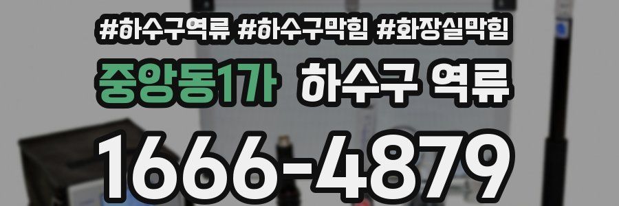 중앙동1가 하수구 역류