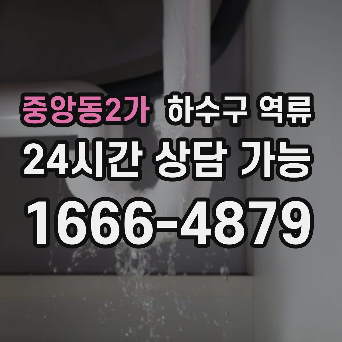 중앙동2가 하수구 역류