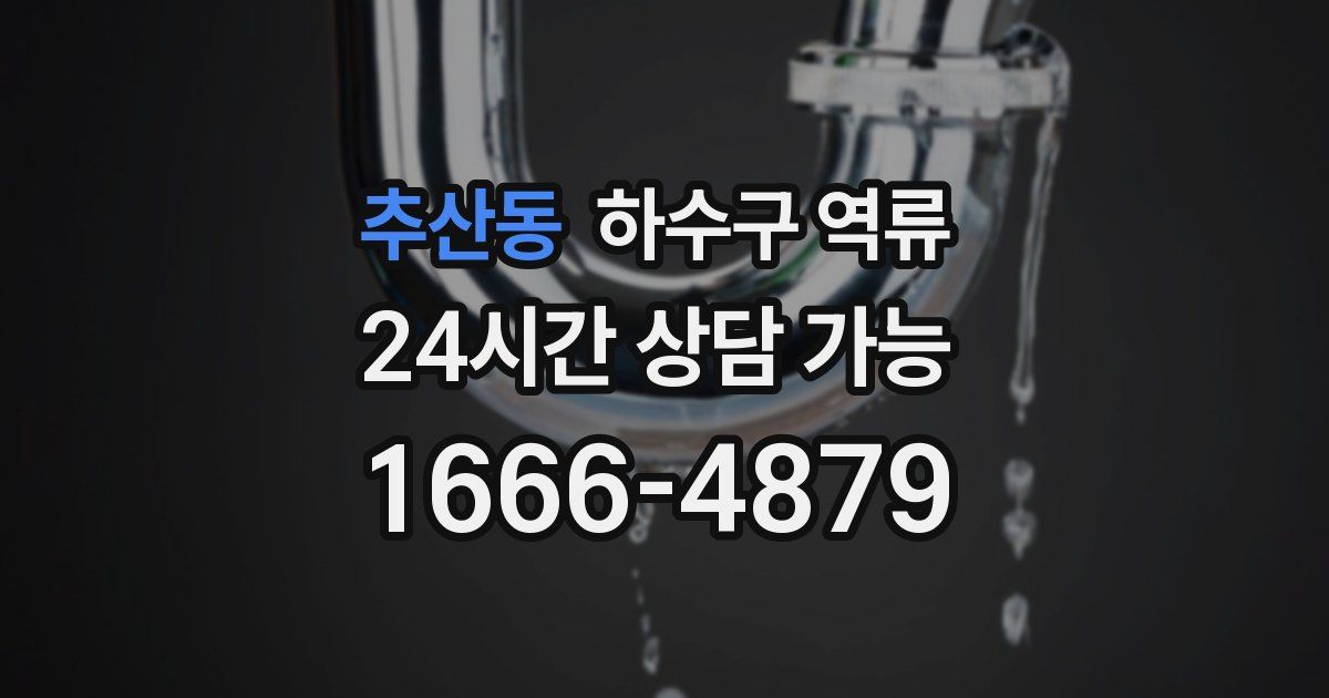 추산동 하수구 역류