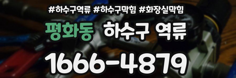 평화동 하수구 역류