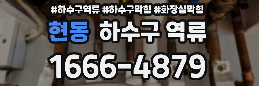 현동 하수구 역류