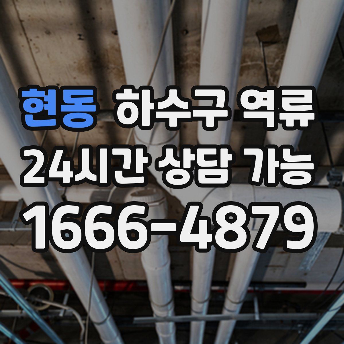 현동 하수구 역류