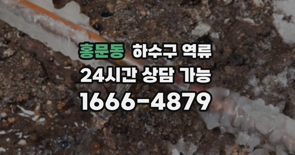 홍문동 하수구 역류