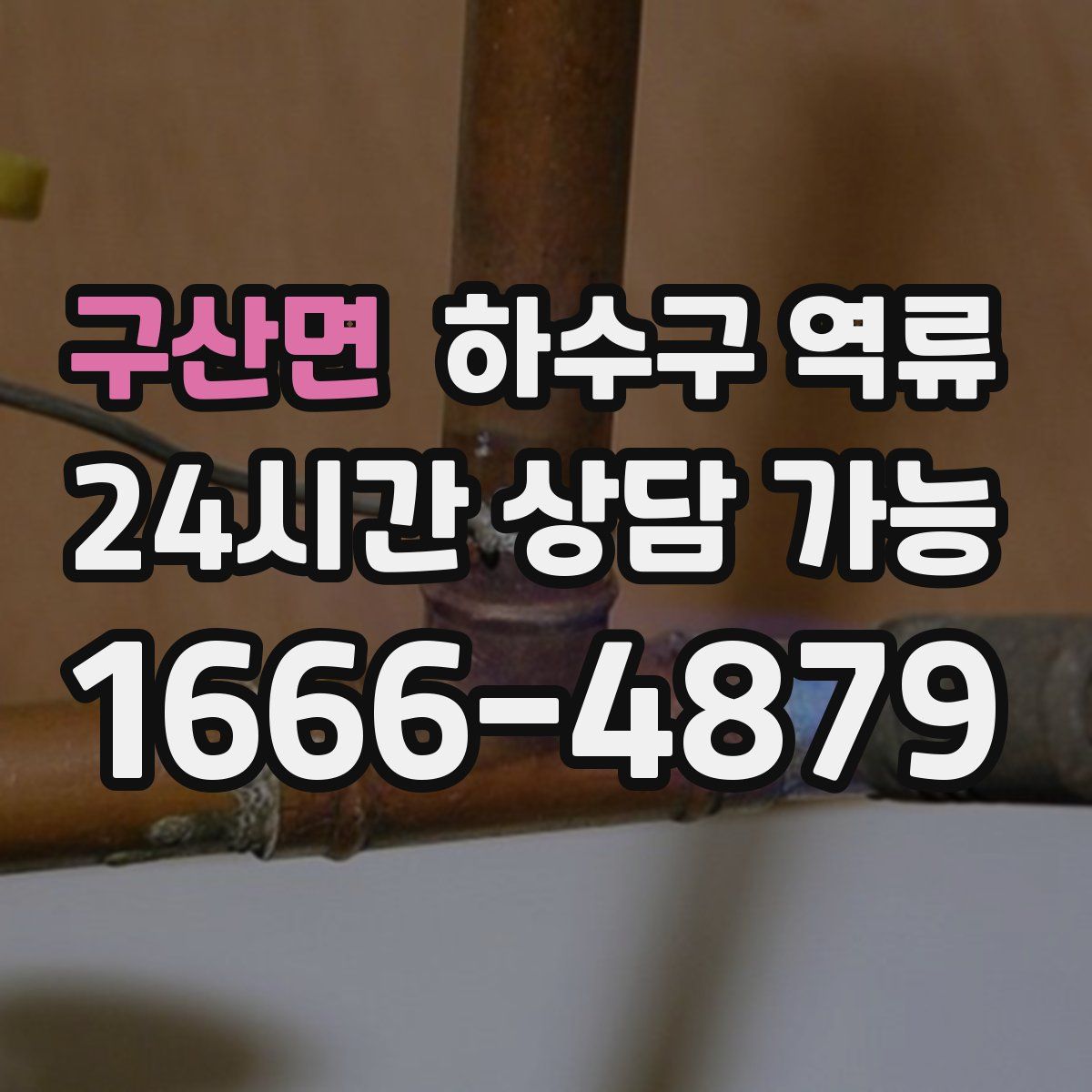 구산면 하수구 역류