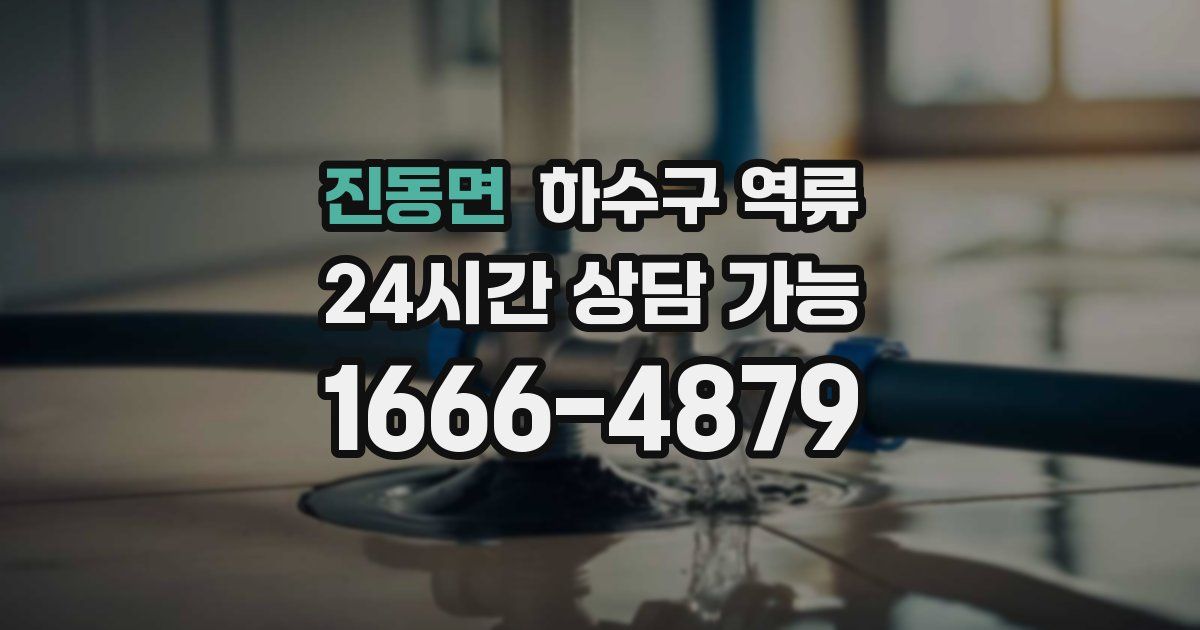 진동면 하수구 역류